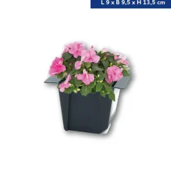 Blumenkasten Palette