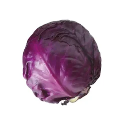 Rotkohl