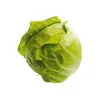 Weißkohl