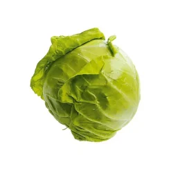 Weißkohl