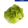 XXL-Weißkohl